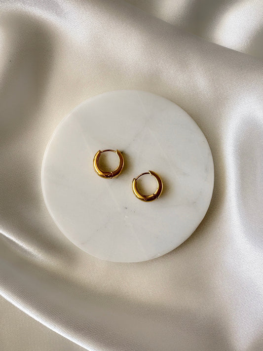 Hoops bottega