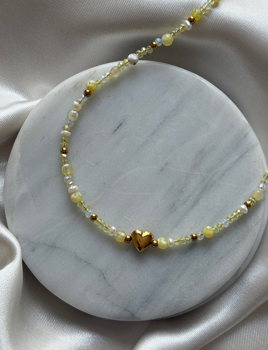 Collar mimosa