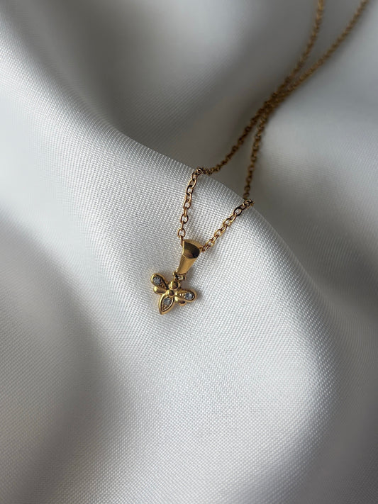 collar honey